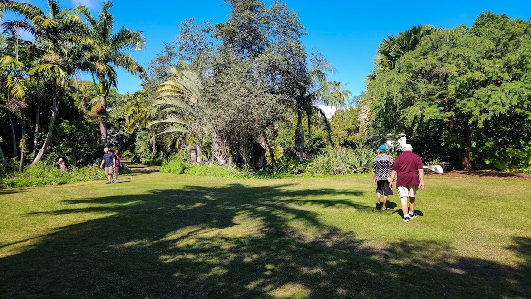 seniors enjoying outdoor activities