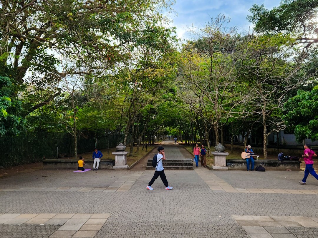Seniors doing gentle group exercise outdoors in a park
